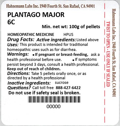 Plantago Major 6c 100g (Plantago Major 6c 100g)
